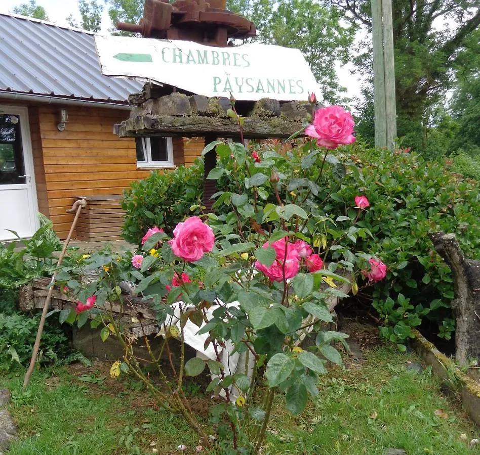 Bed & Breakfast La Vallee Du Rivoal Lopérec Francie